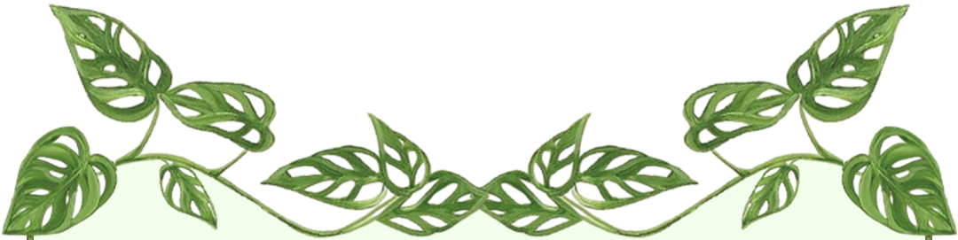 Decorative frame top