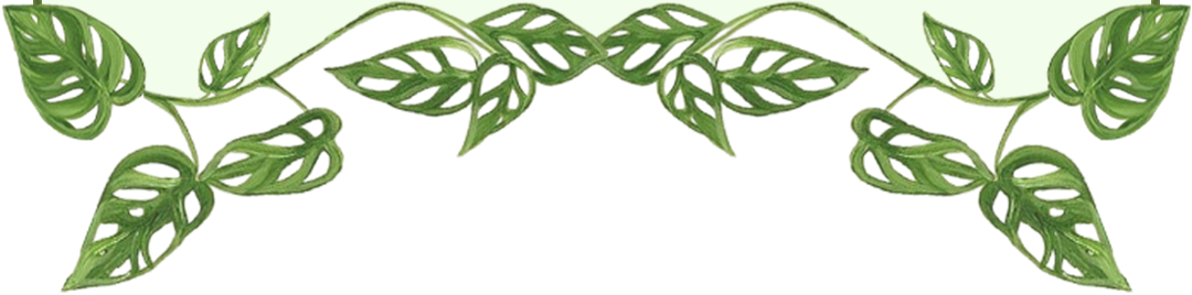 Decorative frame bottom