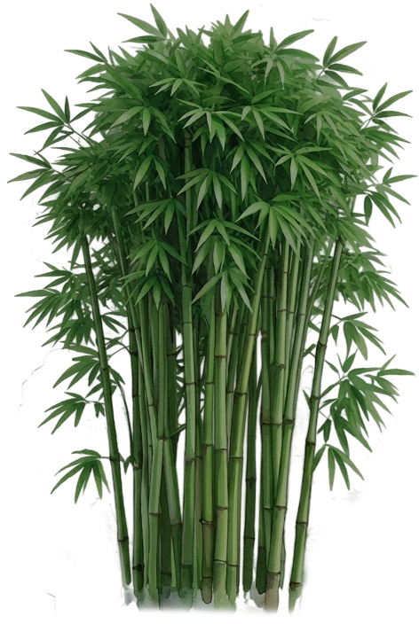 Floral decoration